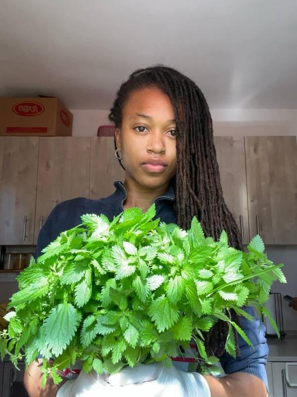 Connecting with Herbs in our Environment