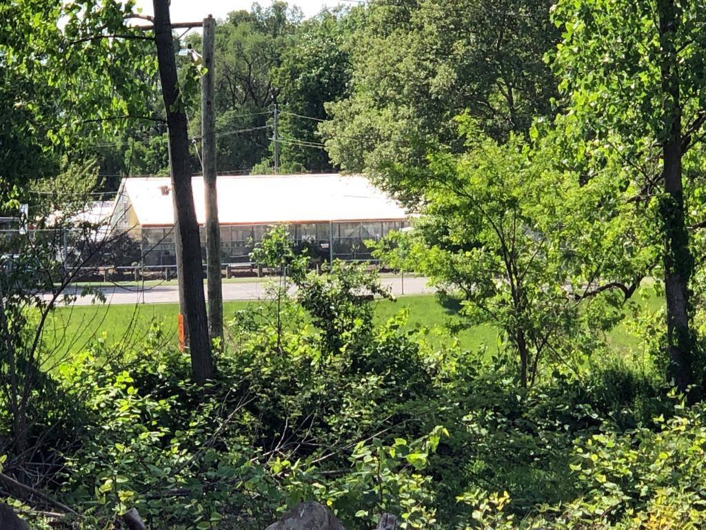 EXCLUSIVE MARKETPLACE PARTNER SPOTLIGHT: Rid-All Green Partnership