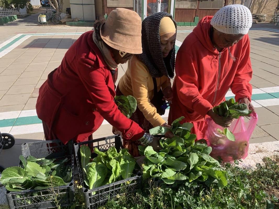 The Community Microbiome: How Shared Environments Shape Collective Health